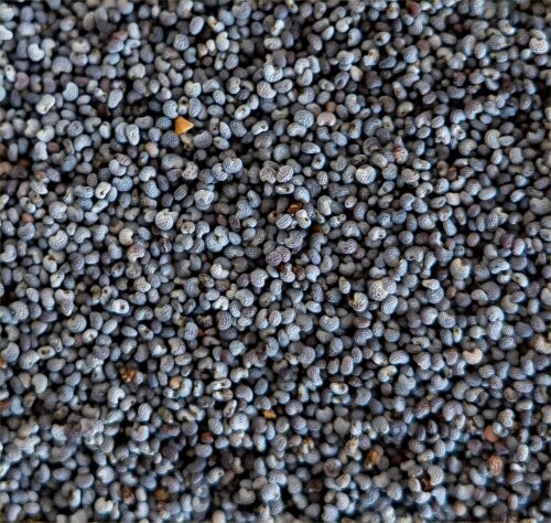 poppy seeds